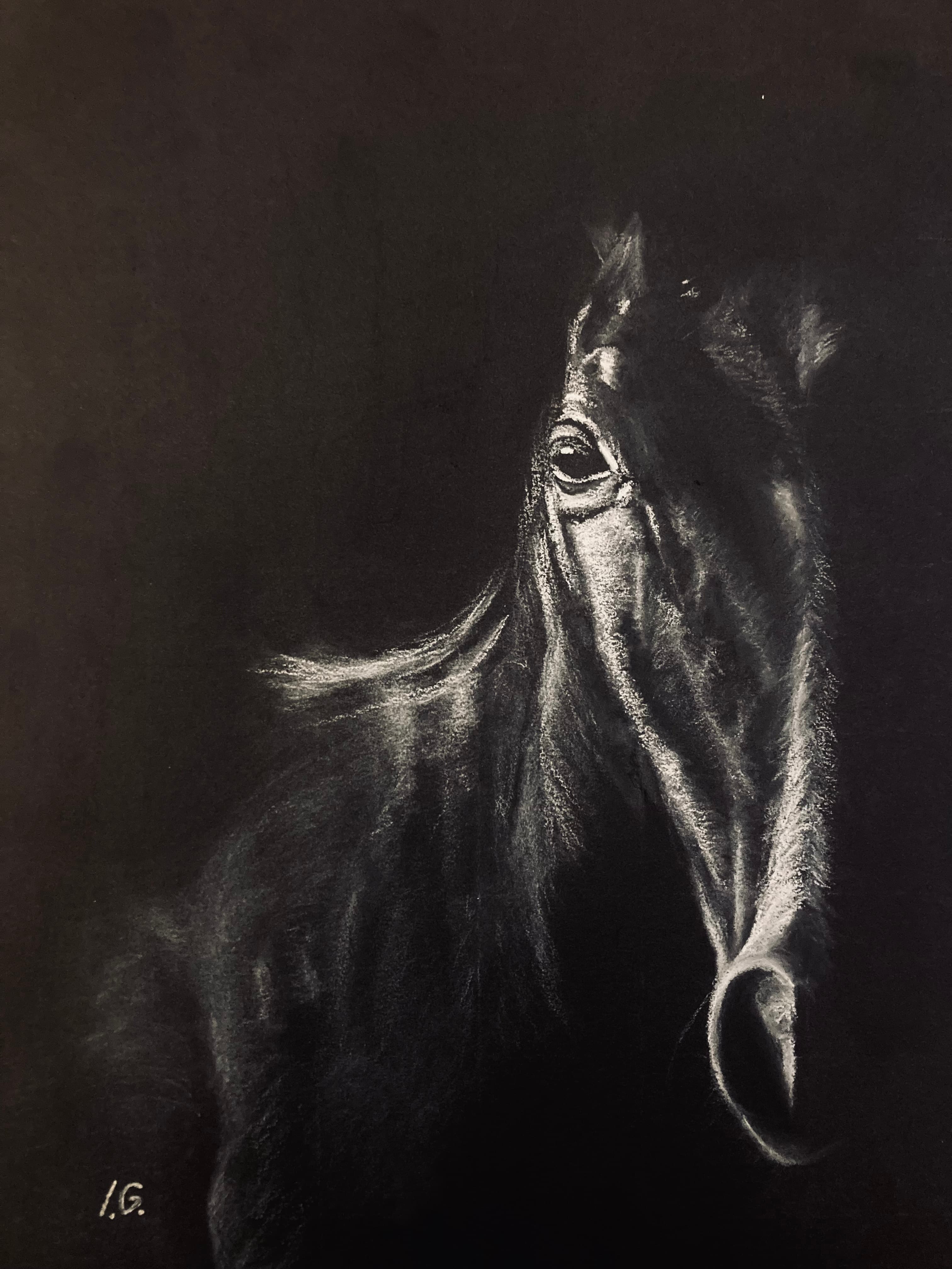 Caballo Negro — Pastel, Irina Gîndea
